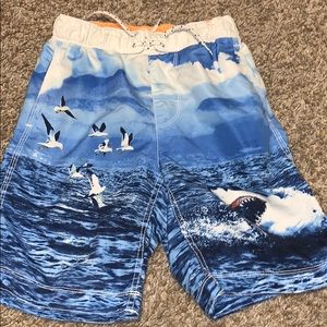 boys swimsuit